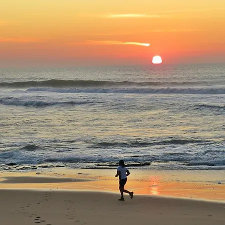 Moinho Do Avo Joao Ferienhaus *
