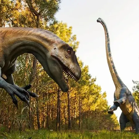 Moinho Do Avo Joao Ferienhaus *